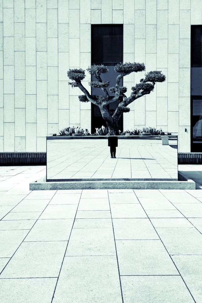 Photograph by Буданова Мария