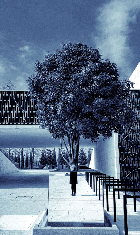 Photograph by Буданова Мария