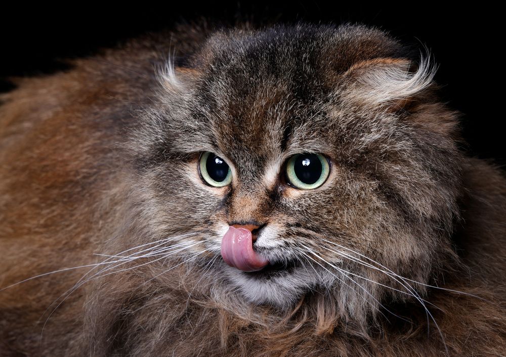 Photograph by Елена Лапочкина