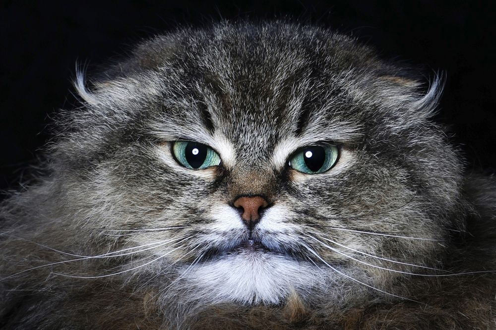 Photograph by Елена Лапочкина