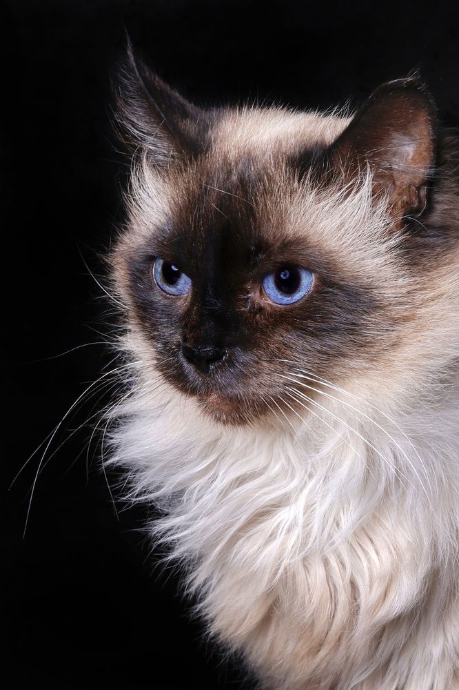 Photograph by Елена Лапочкина