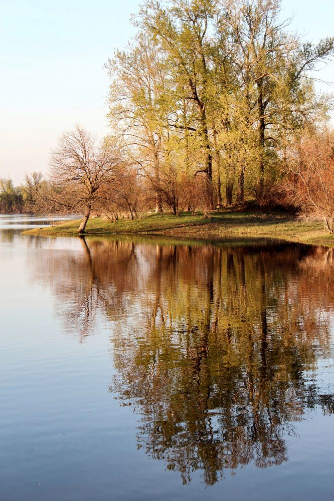 Photograph by Ирина Шибитова