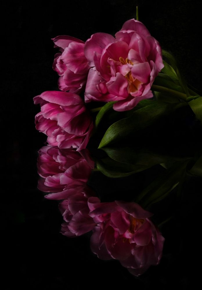 Photograph by Александра Шилова