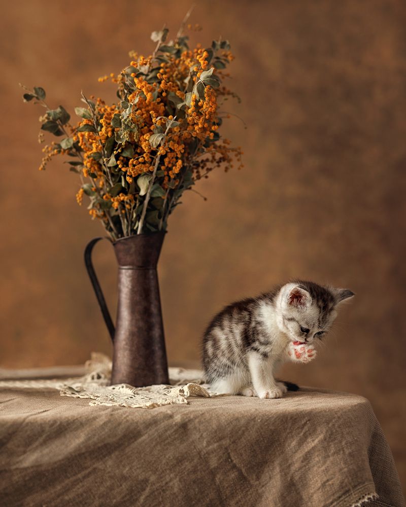 Photograph by Ирина Маркова