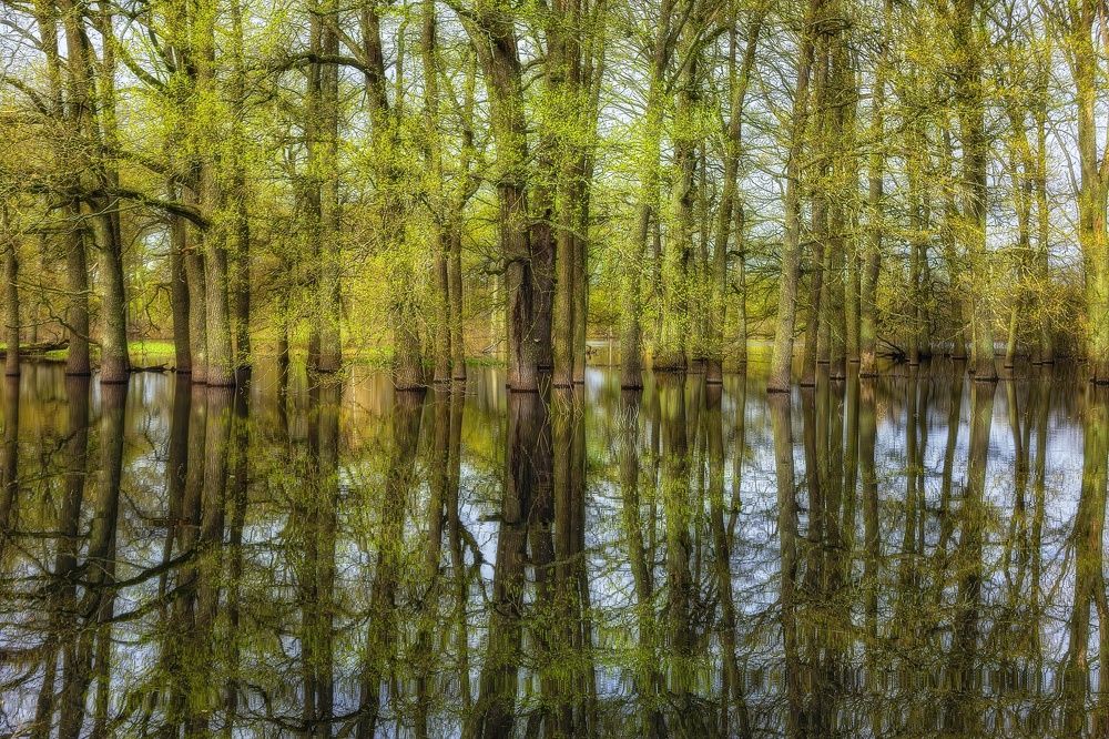 Photograph by Leanid Kulpo