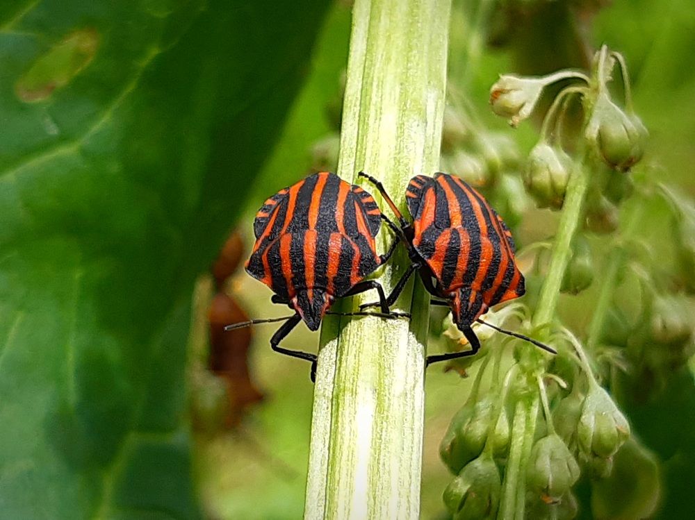 Photograph by Екатерина