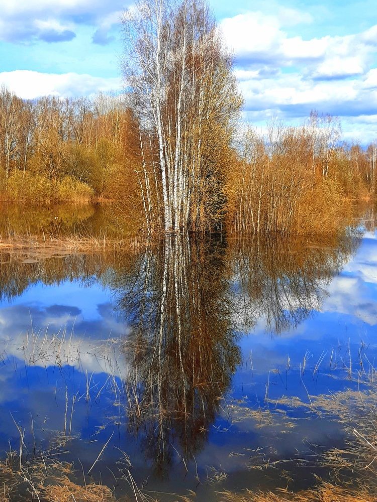 Photograph by Екатерина