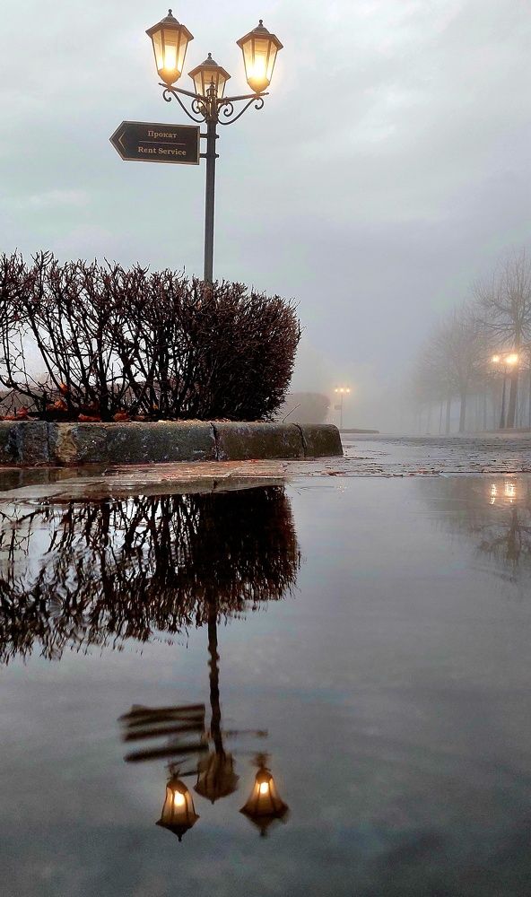 Фотография автора Виталий Петров