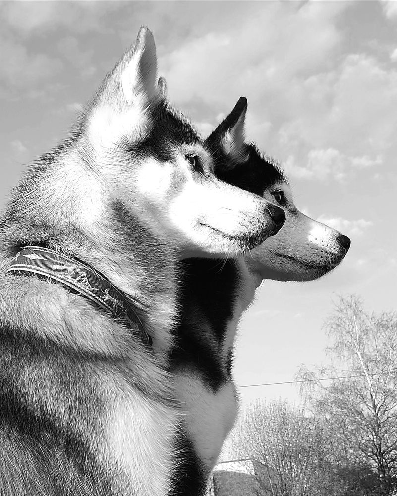 Photograph by Елена Наленч