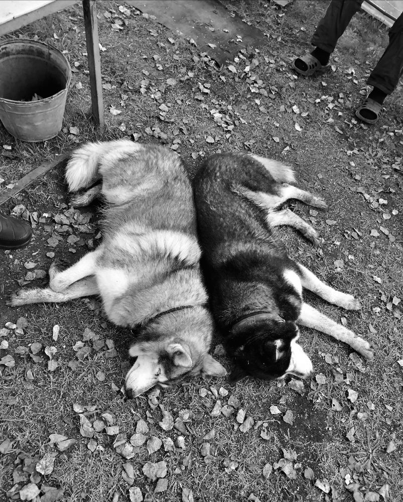 Photograph by Елена Наленч