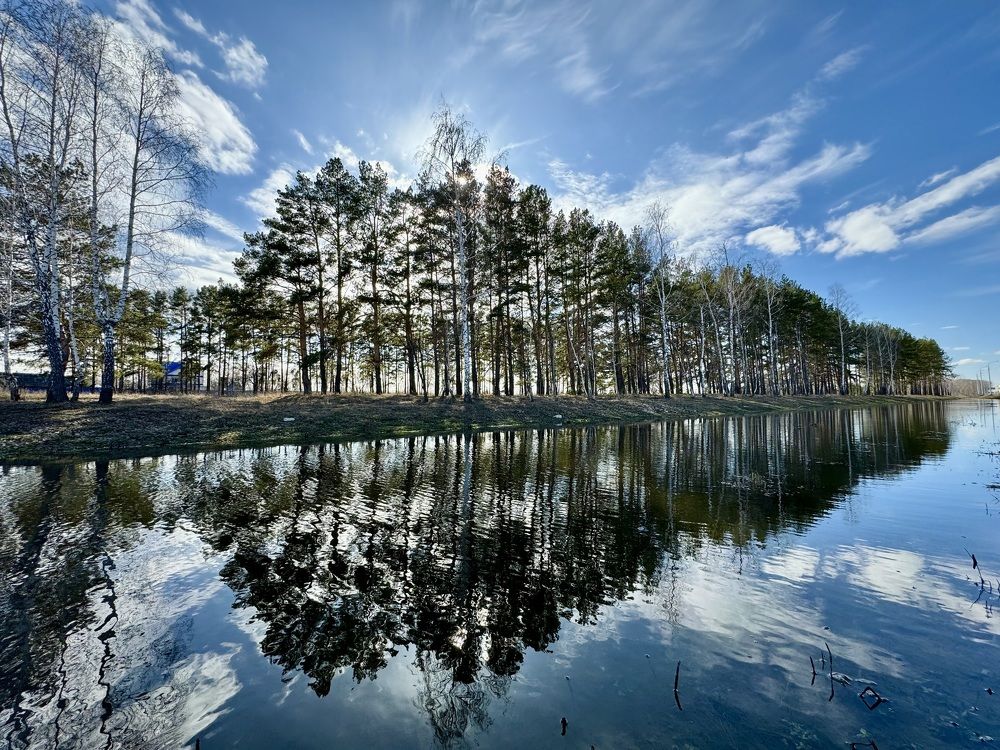 Фотография автора Евгения Елисеева