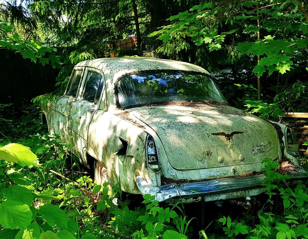 Фотография автора Виталий Петров