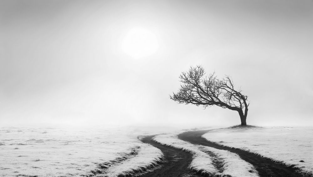 Photograph by payman Mollaie