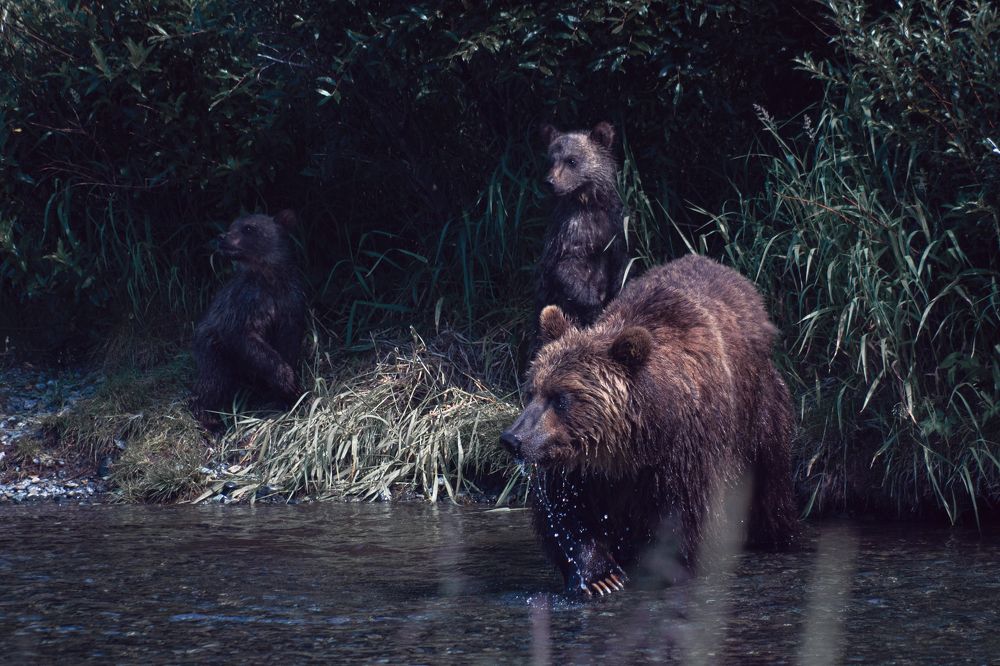 Photograph by Svetlana