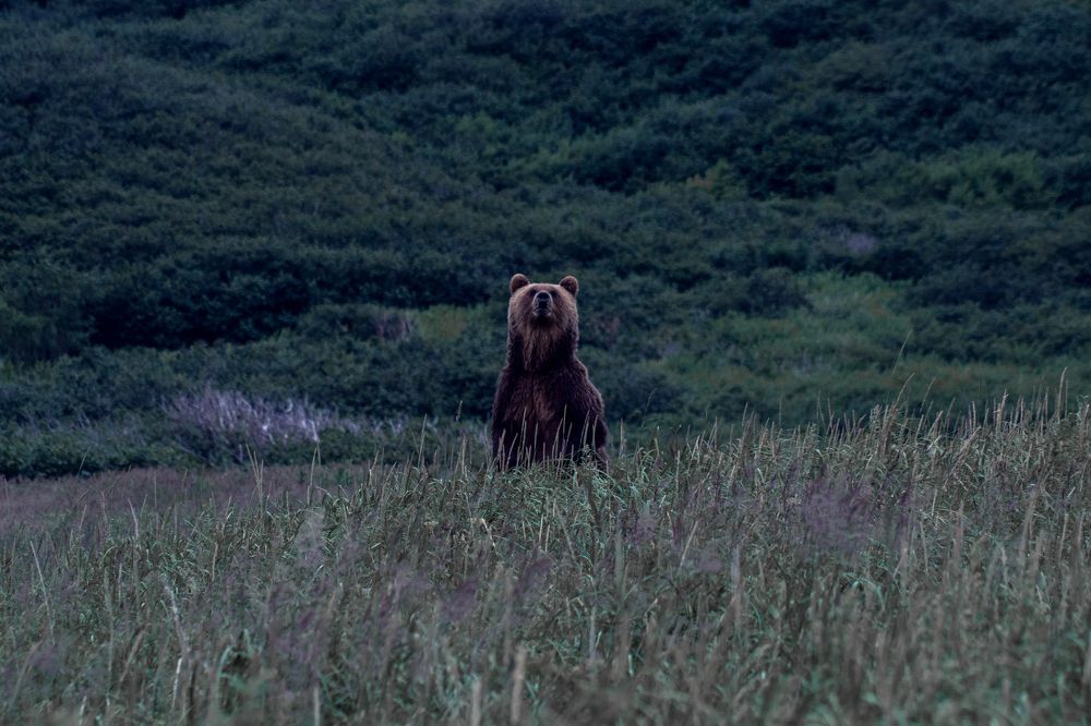 Photograph by Svetlana