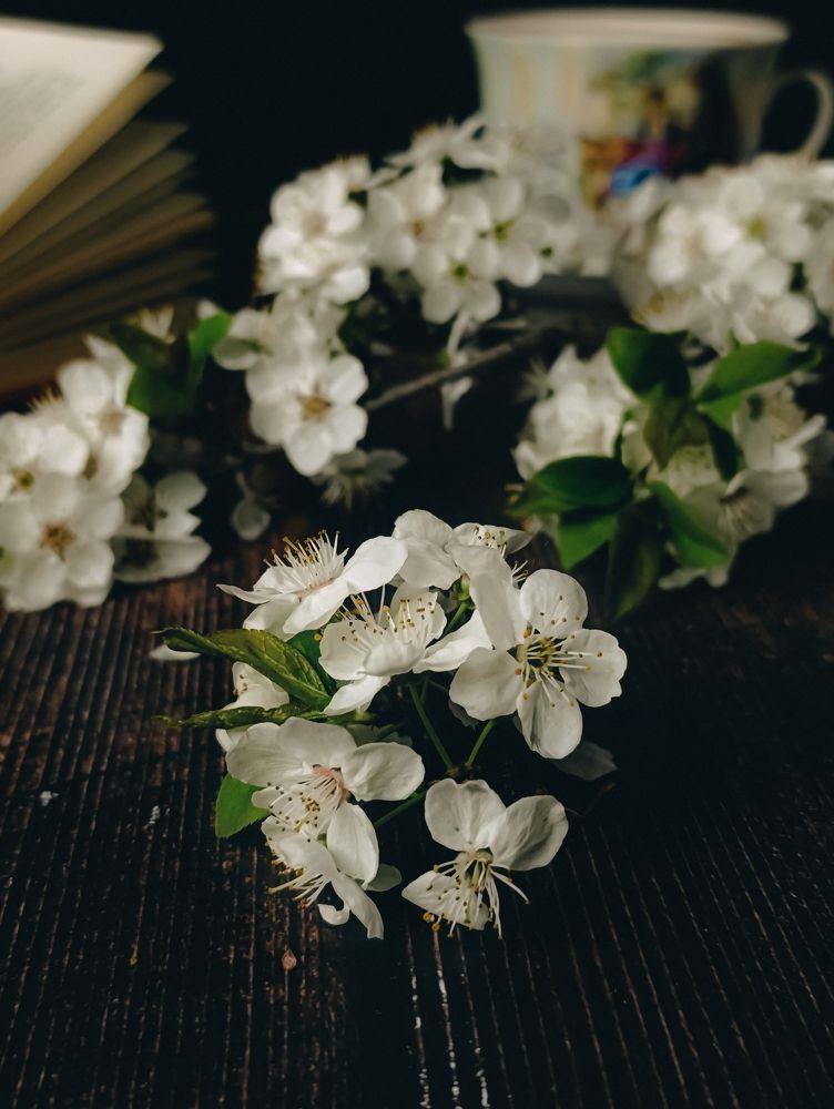 Photograph by Светлана Таркан