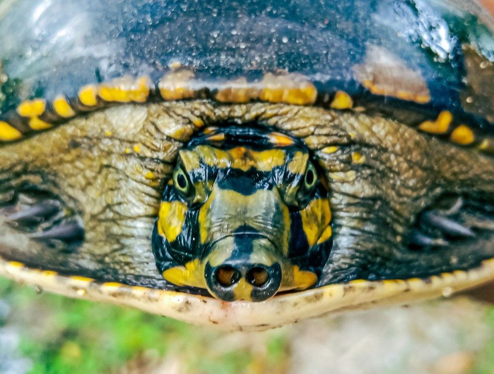 Фотография автора Souvik Bhattacharyya