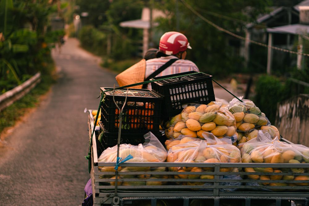 Photograph by Tuấn lê