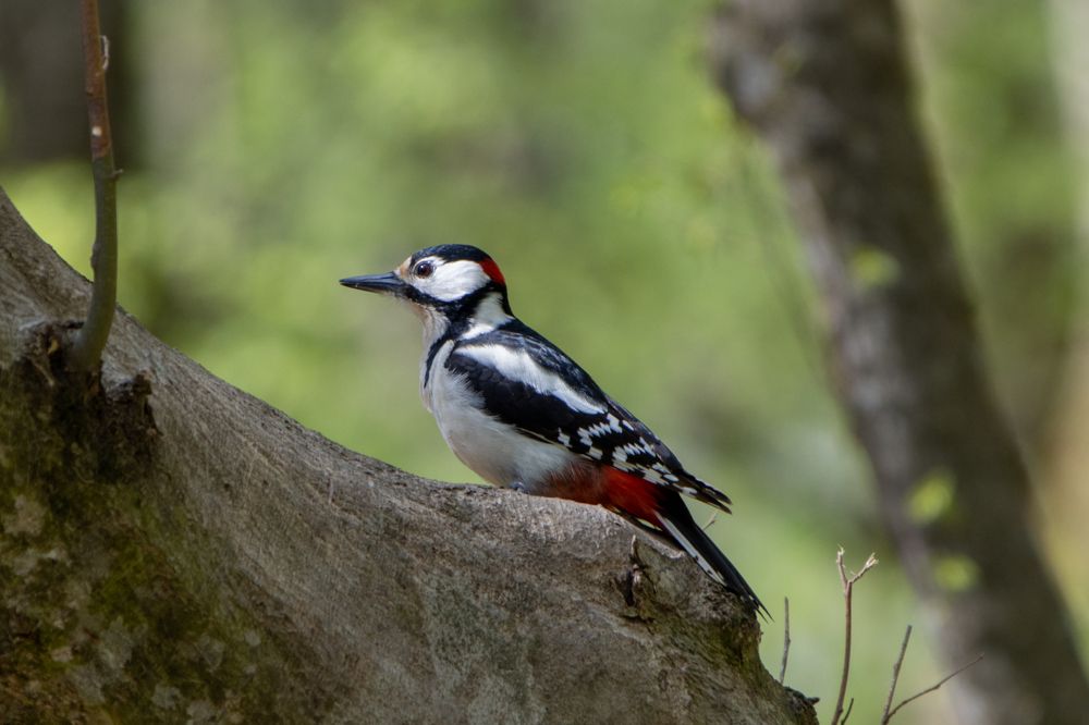 Photograph by Виталий Маслов