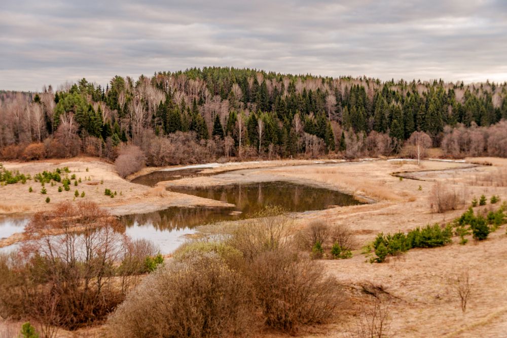 Photograph by Елена Ефимова