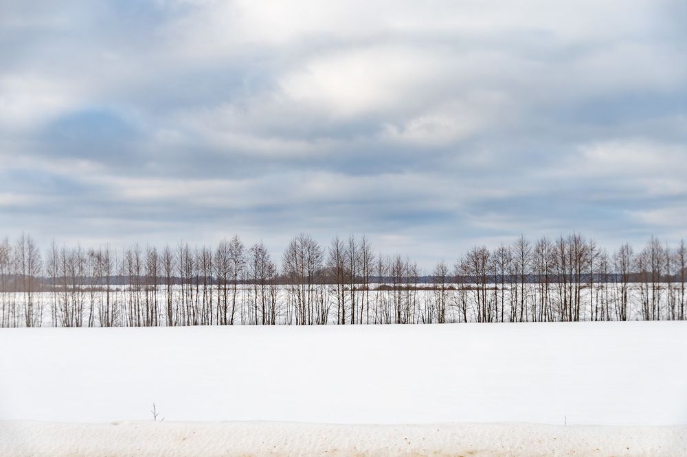 Photograph by Елена Ефимова