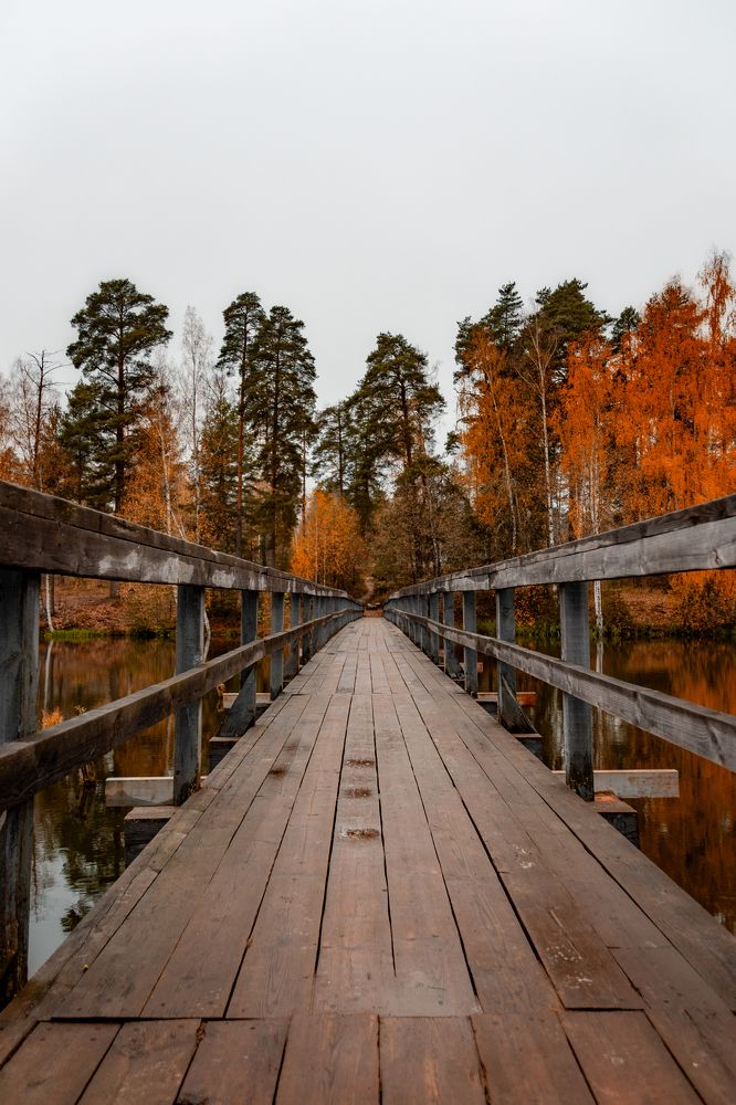 Photograph by Елена Ефимова