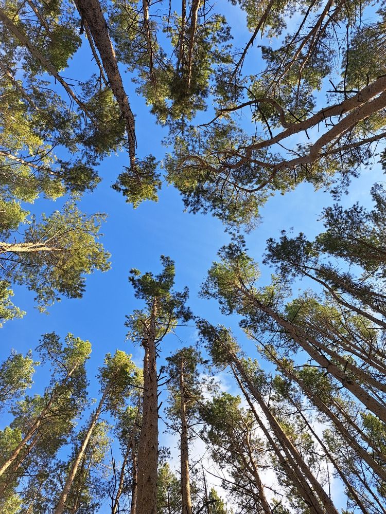 Photograph by Валентина Нохрина