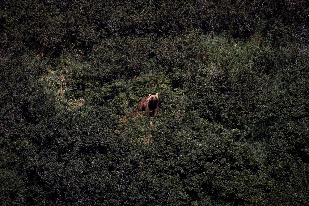 Photograph by Svetlana