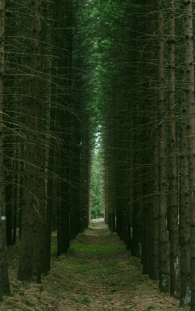 Photograph by Анна Масленникова-Бриль