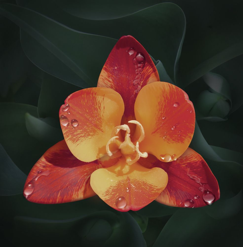 Photograph by Анастасия Семилетова