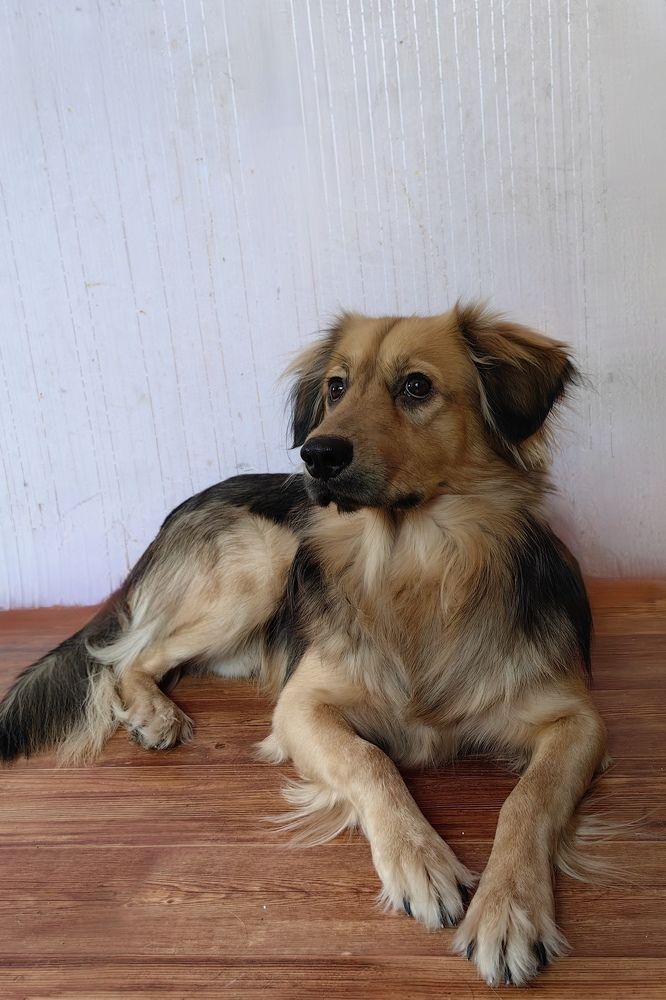 Photograph by Римма Бобрякова