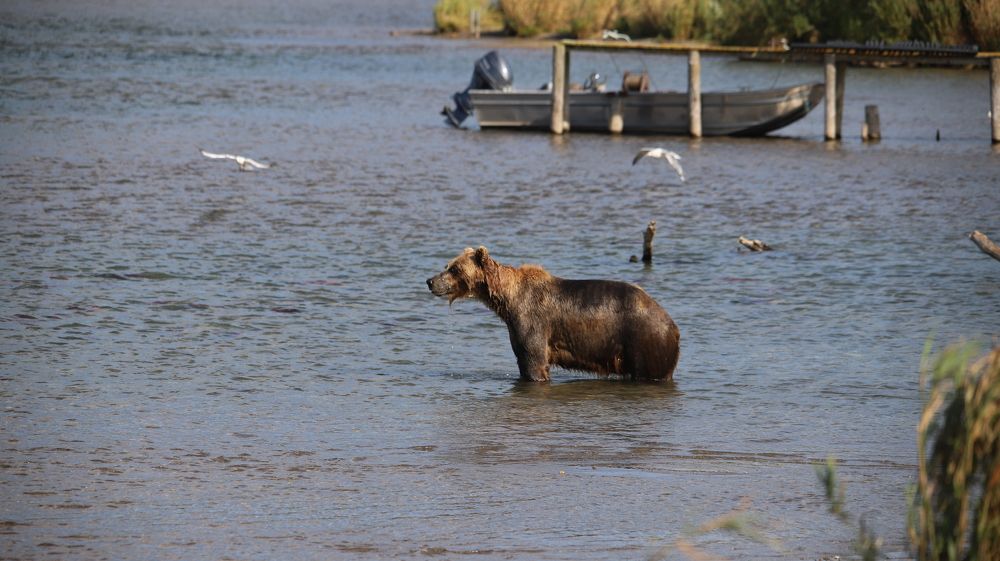 Photograph by Соколова Елена