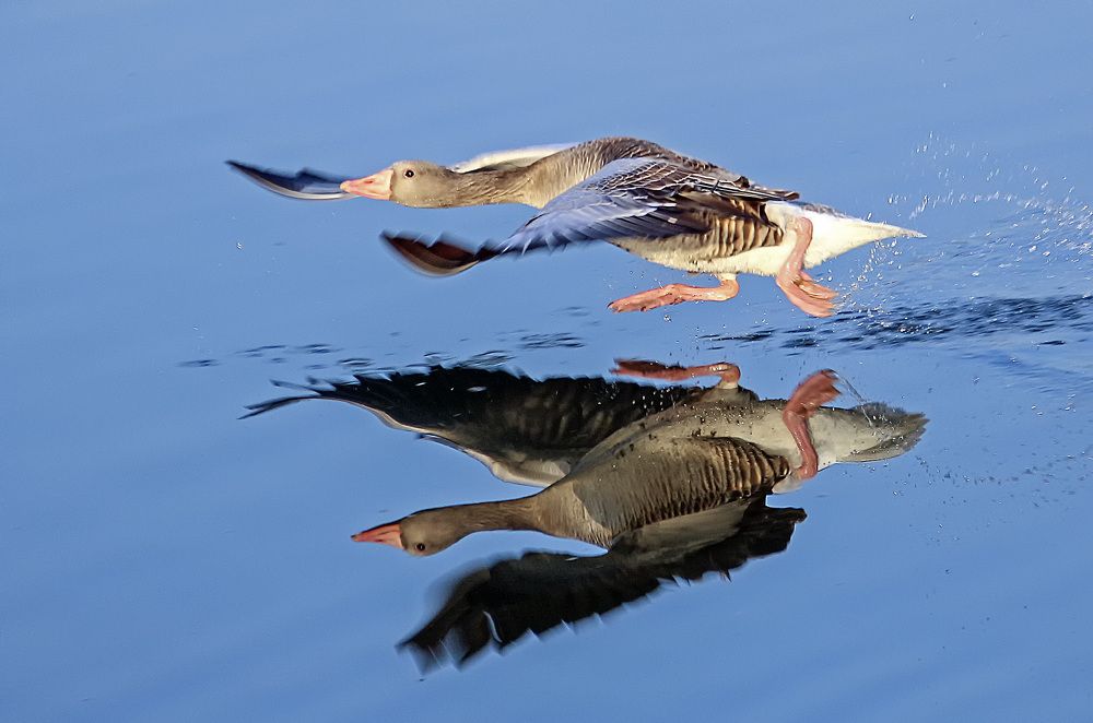 Фотография автора Александр