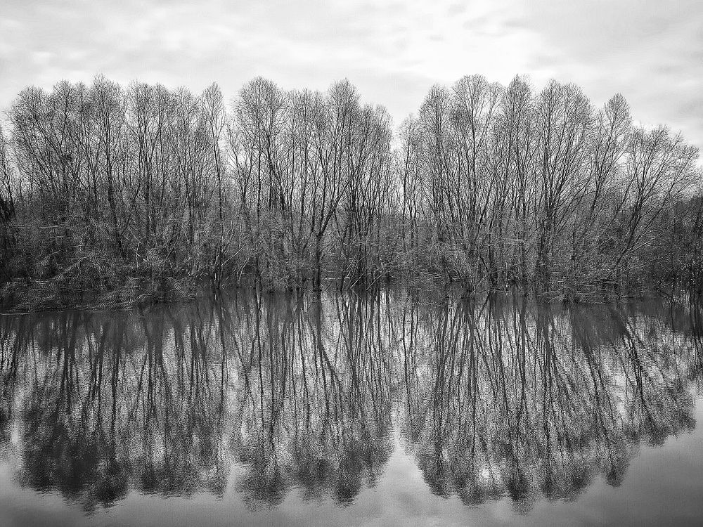 Photograph by Ольга Мартьянова