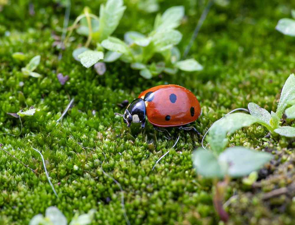 Photograph by Сергей Пак