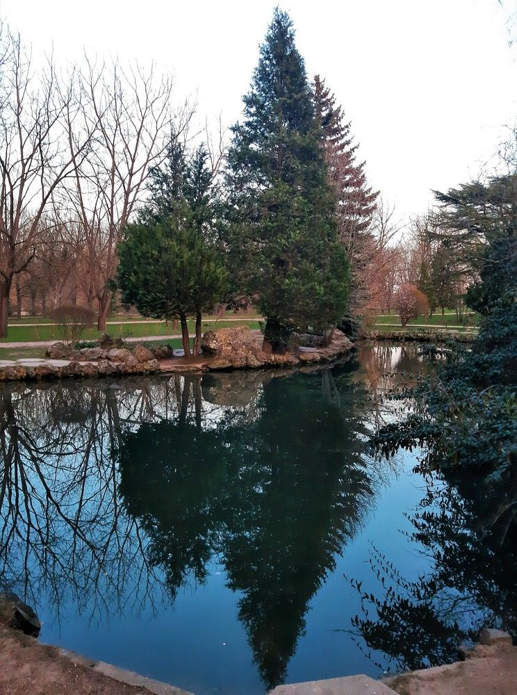 Photograph by Галина Глазкова