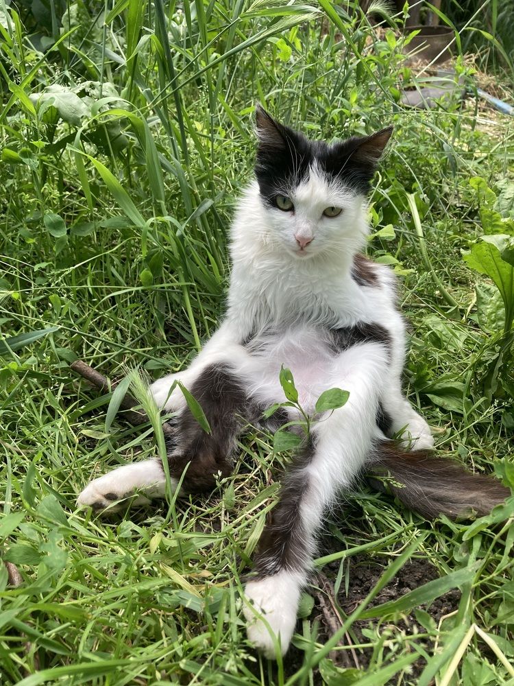 Photograph by Людмила Коныгина