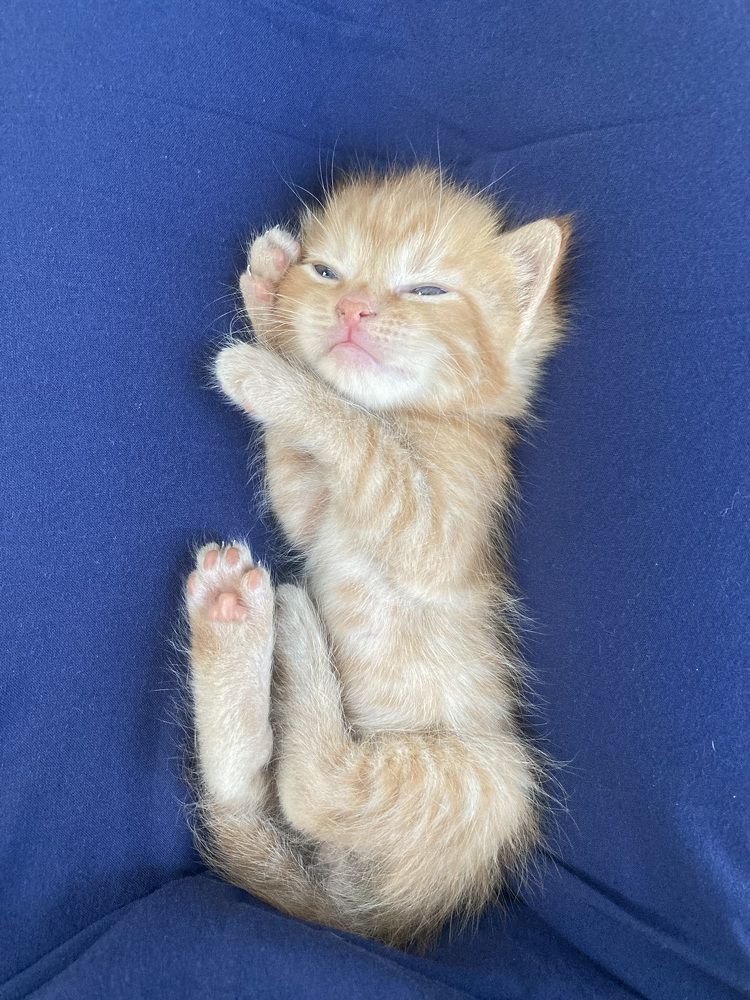 Photograph by Людмила Коныгина