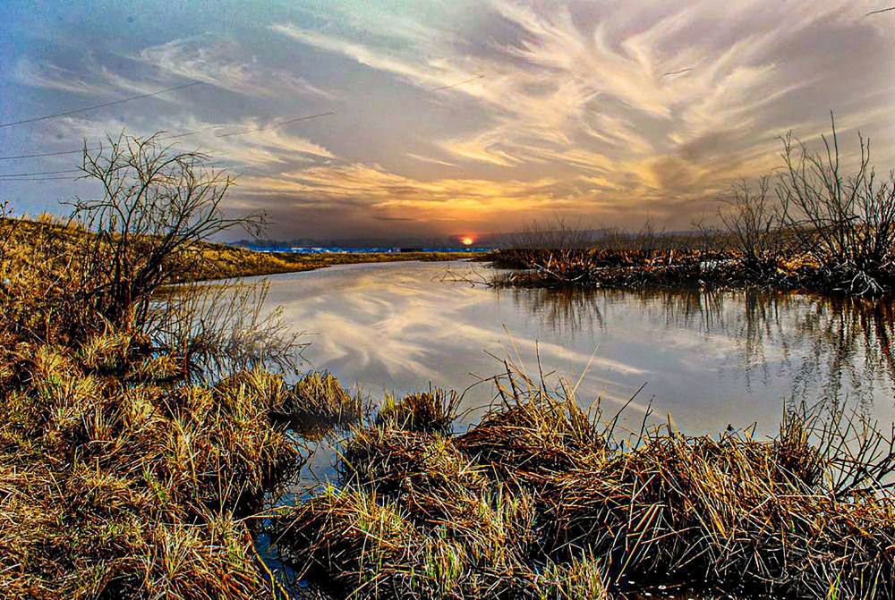 Photograph by 