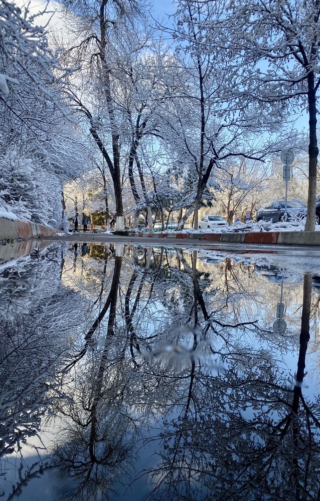 Photograph by Юлия Голубкова