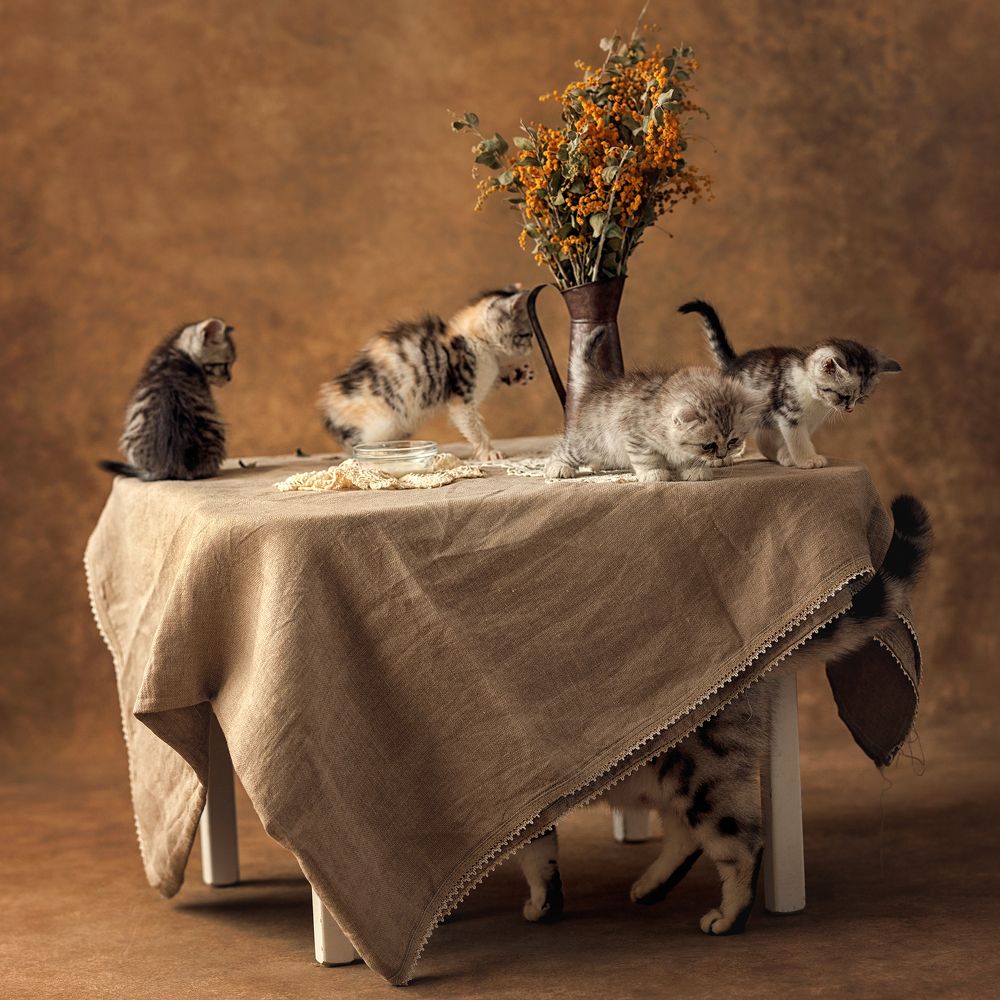 Photograph by Ирина Маркова