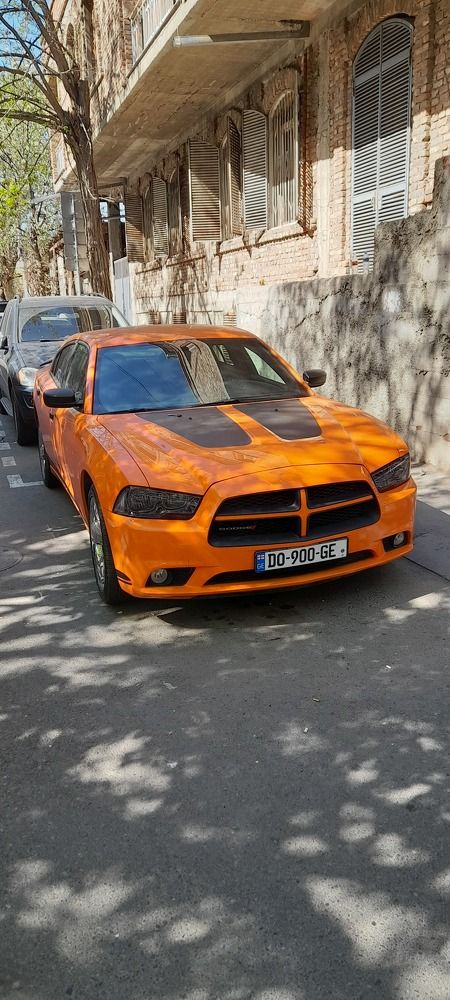 Фотография автора Revaz Topuria