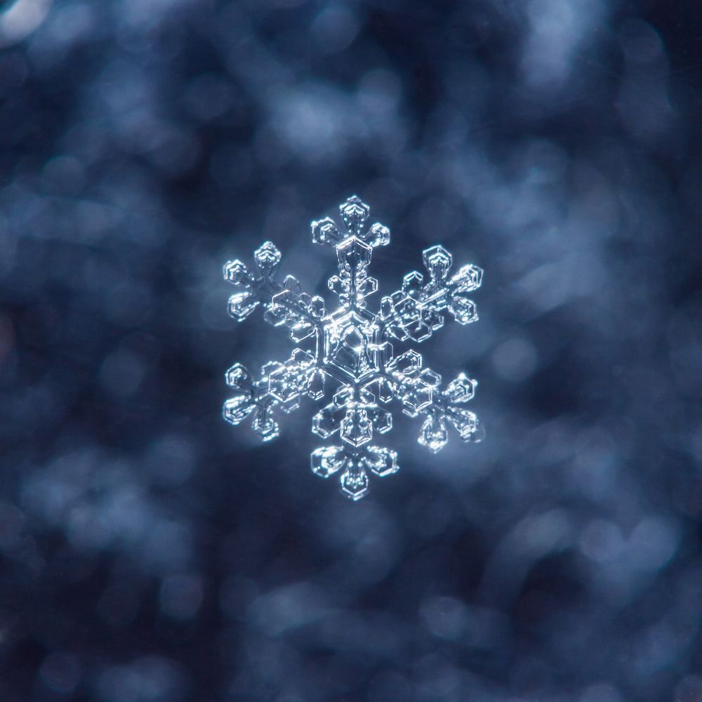 Photograph by Николай Заводов