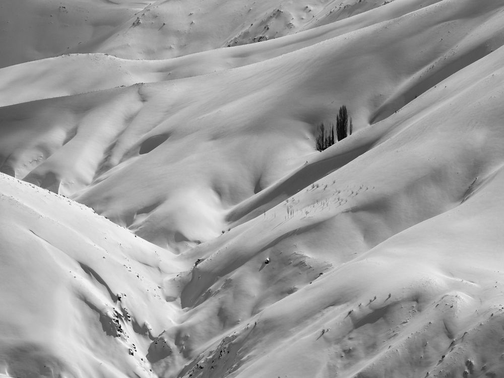 Photograph by Farid Ataei