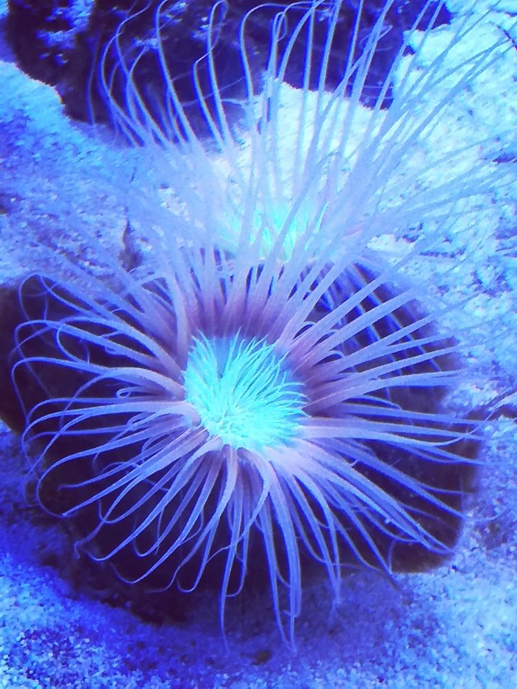 Photograph by Evgeniya Burkaeva