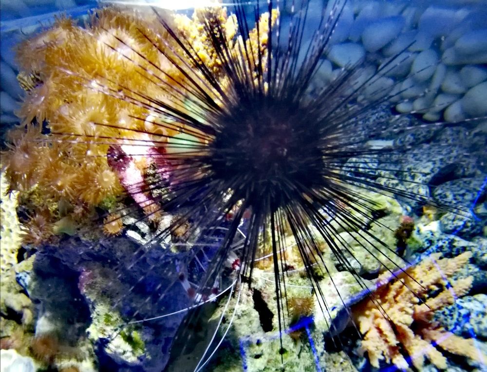 Photograph by Evgeniya Burkaeva