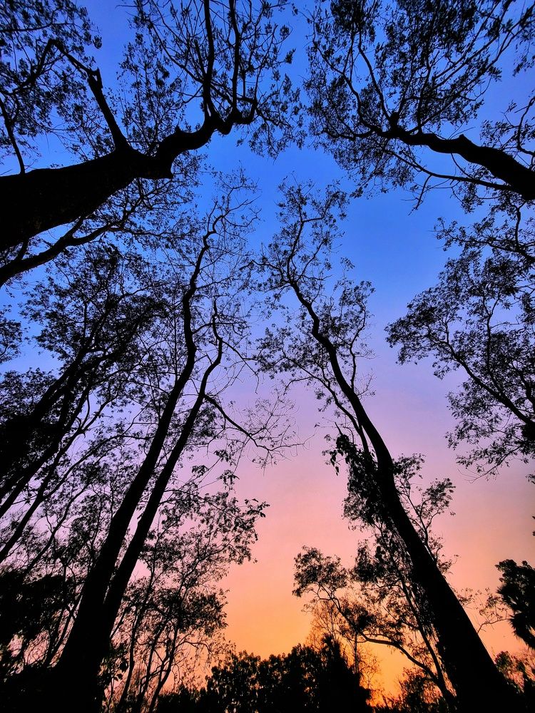 Photograph by Debayan Bag