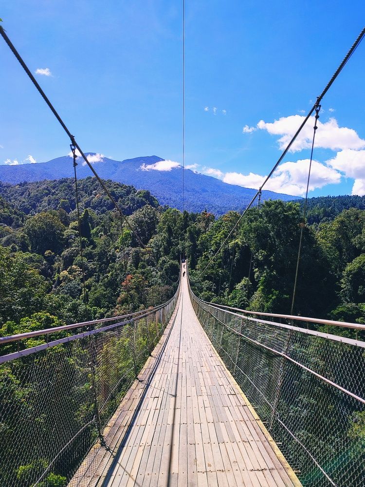 Photograph by Meilany Wijaya