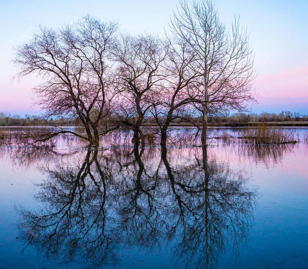 Photograph by Сергей Хранитель