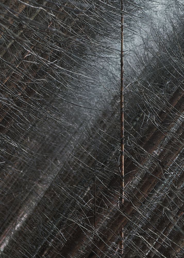 Photograph by Загруев Михаил